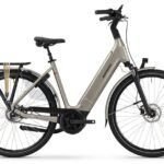 Batavus Finez E go Power Exclusive Plus RT 750 1.jpg