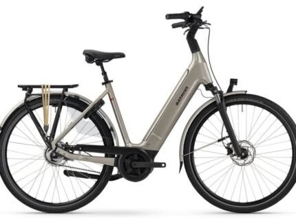 Batavus Finez E go Power Exclusive Plus RT 750 1.jpg