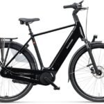 Batavus Finez E go Power Plus 750 1 1.jpg