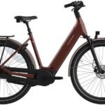 Batavus Finez E go Power Plus 750 1.jpg