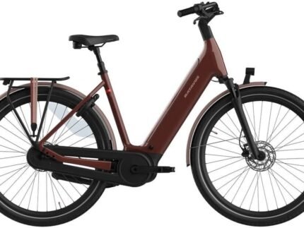 Batavus Finez E go Power Plus 750 1.jpg