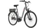 Carver Cityzen E LTD FL 400 Wh 1.jpg