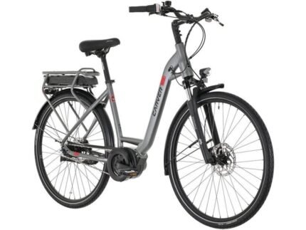 Carver Cityzen E LTD FL 400 Wh 1.jpg