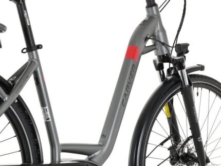 Carver Cityzen E LTD FL 400 Wh 2.jpg