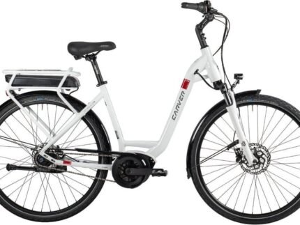 Carver Cityzen E LTD RT 400 Wh 1.jpg
