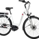 Carver Cityzen E LTD RT 400 Wh 19.jpg