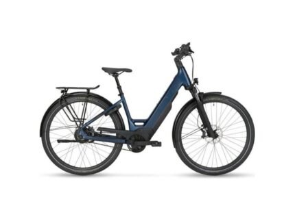 E Bike Manufaktur 5NF 750 Wh 1.jpg