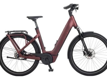 E Bike Manufaktur 5NF 750 Wh.jpg