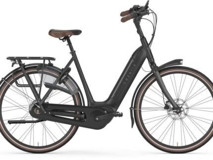Gazelle Arroyo C8 Elite RT HMB 1.jpg