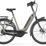 Gazelle Arroyo C8 Elite RT HMB.jpg