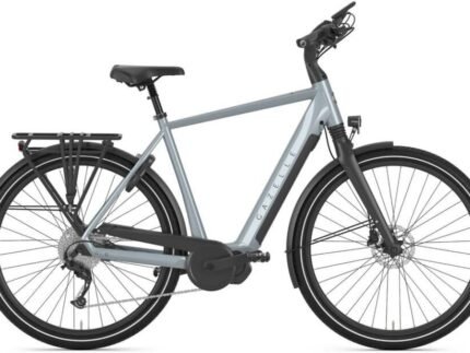 Gazelle Chamonix T10 HMS.jpg