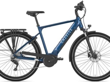 Gazelle Medeo T10 HMB 1.jpg