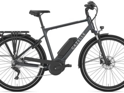 Gazelle Medeo T9 HMB 500 Wh 1.jpg
