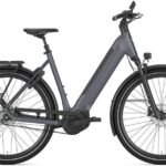 Gazelle Ultimate C5 1.jpg