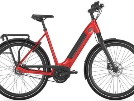 Gazelle Ultimate C8 HMB Belt 2.jpg