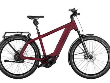 Riese und Muller Charger4 GT vario 1.jpg