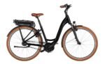 Riese und Muller Swing4 vario 1.jpg