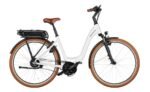 Riese und Muller Swing4 vario.jpg
