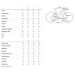 Geo reaction hybrid one women 1750984 1.jpg