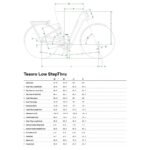 Geo tesoro ls 1804237.jpg