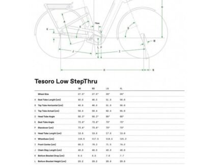 Geo tesoro ls 1804237 2.jpg