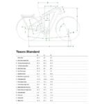 Geo tesoro standard 1803955 1.jpg