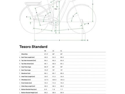 Geo tesoro standard 1803955 1.jpg