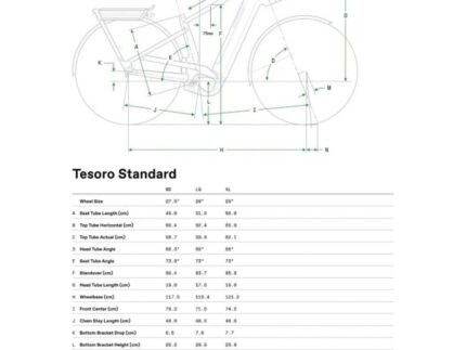 Geo tesoro standard 1803955.jpg