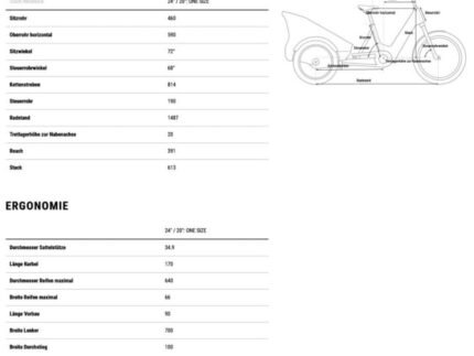 Geo trike cargo hybrid 1556072.jpg