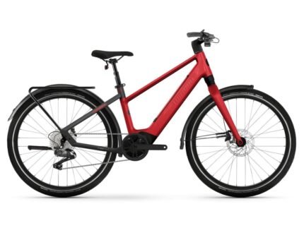 Iride pure x10 high crystal red black 1604334.jpg