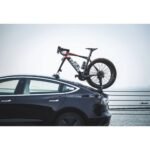 Treefrog pro 2 bike rack d 1856403.jpg